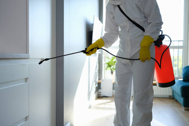 Attic Mold Removal in Boonsboro, MD