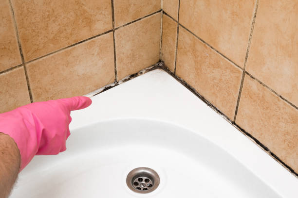 Best Office Mold Removal Services  in Boonsboro, MD